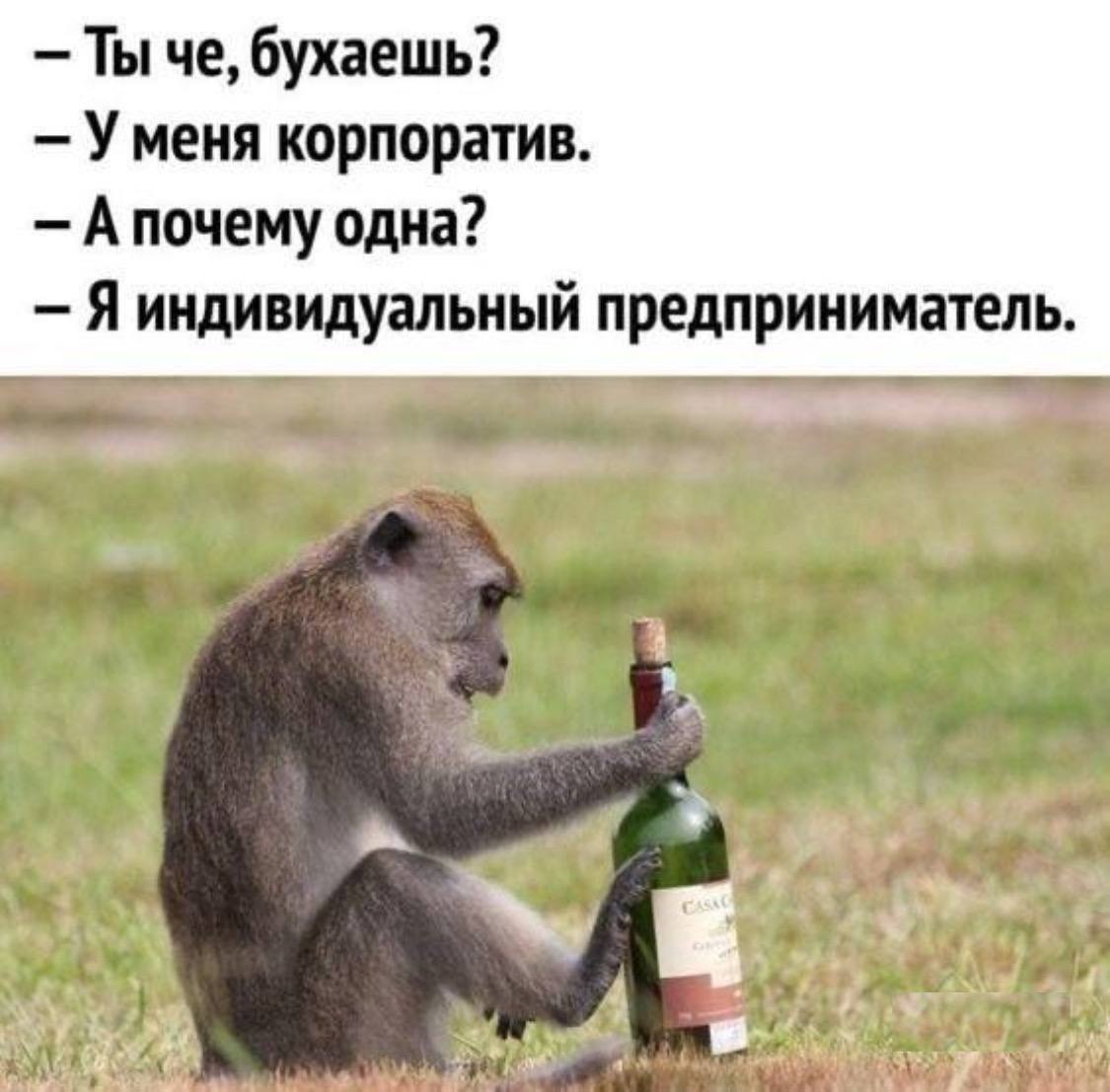 Смешно напиваюсь. Картинки про бухать смешные. Мемы про алкоголь. Пятница пить. Приколы про алкоголь.