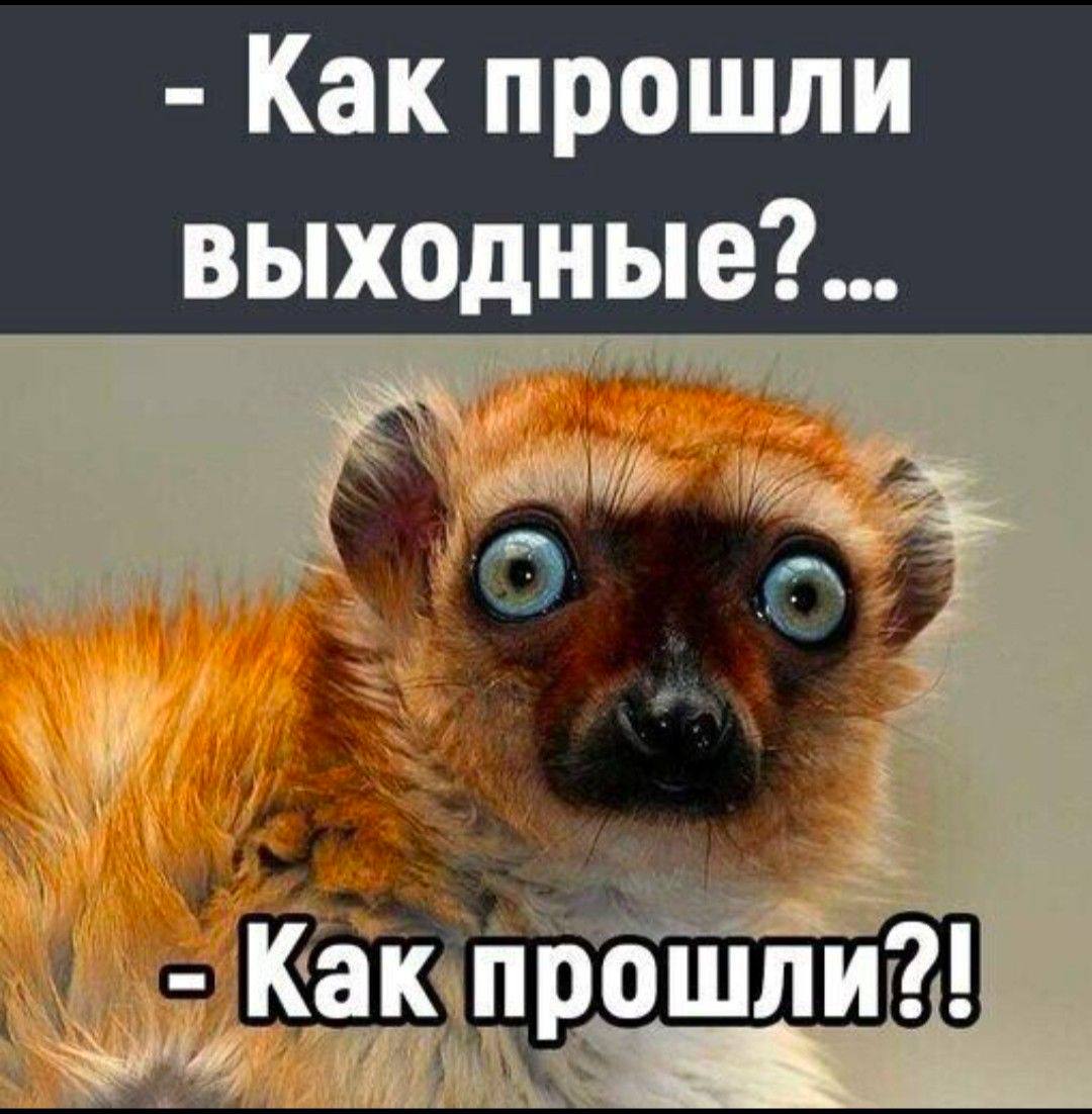 🔥 Под этим постом можно кидать фото + несколько слов как вы с детьми прове...