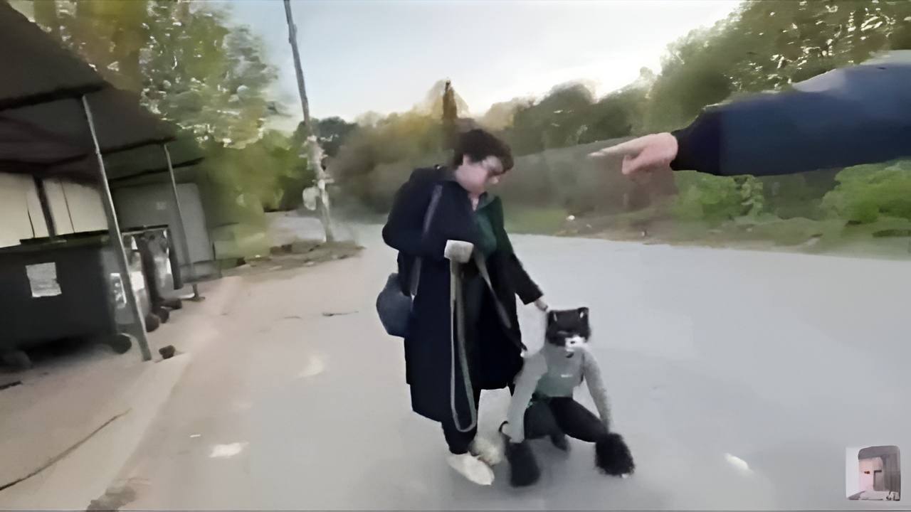 Мама ведет квадробера. Мама ведет ребенка в школу. Мама ведет квадробера. Поводок для выгуливания детей. Прогулка с сыном.