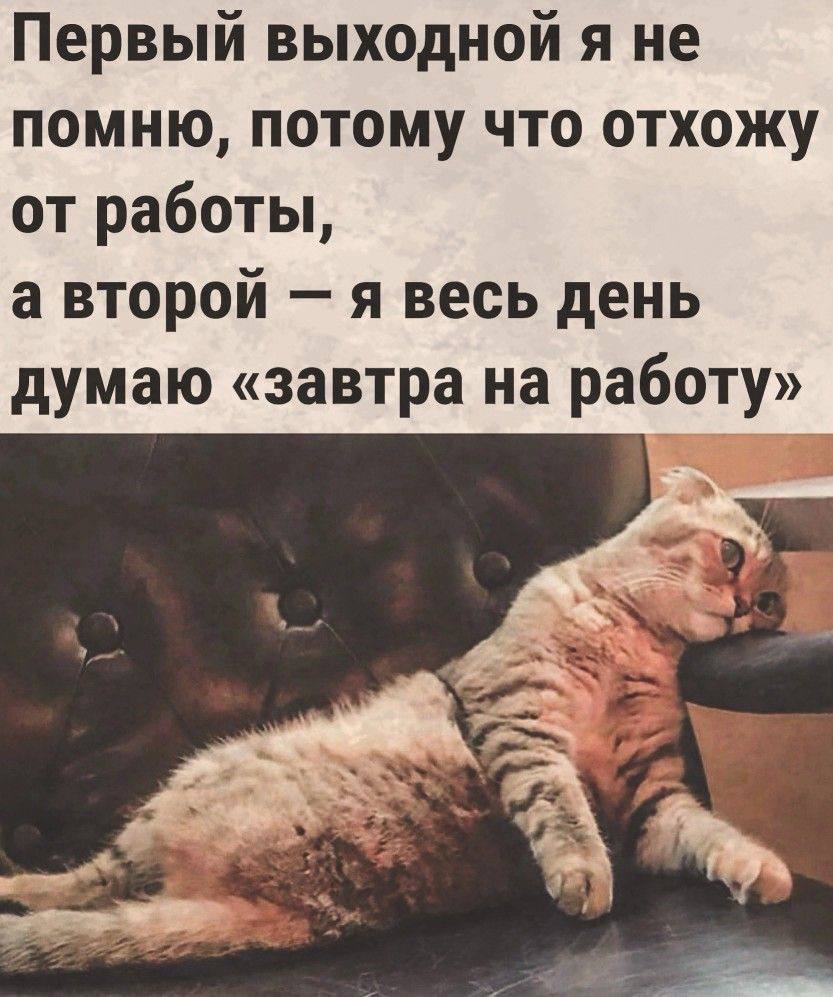 Мир позитива 🤩 Открытки! юмор 🎁 💖.