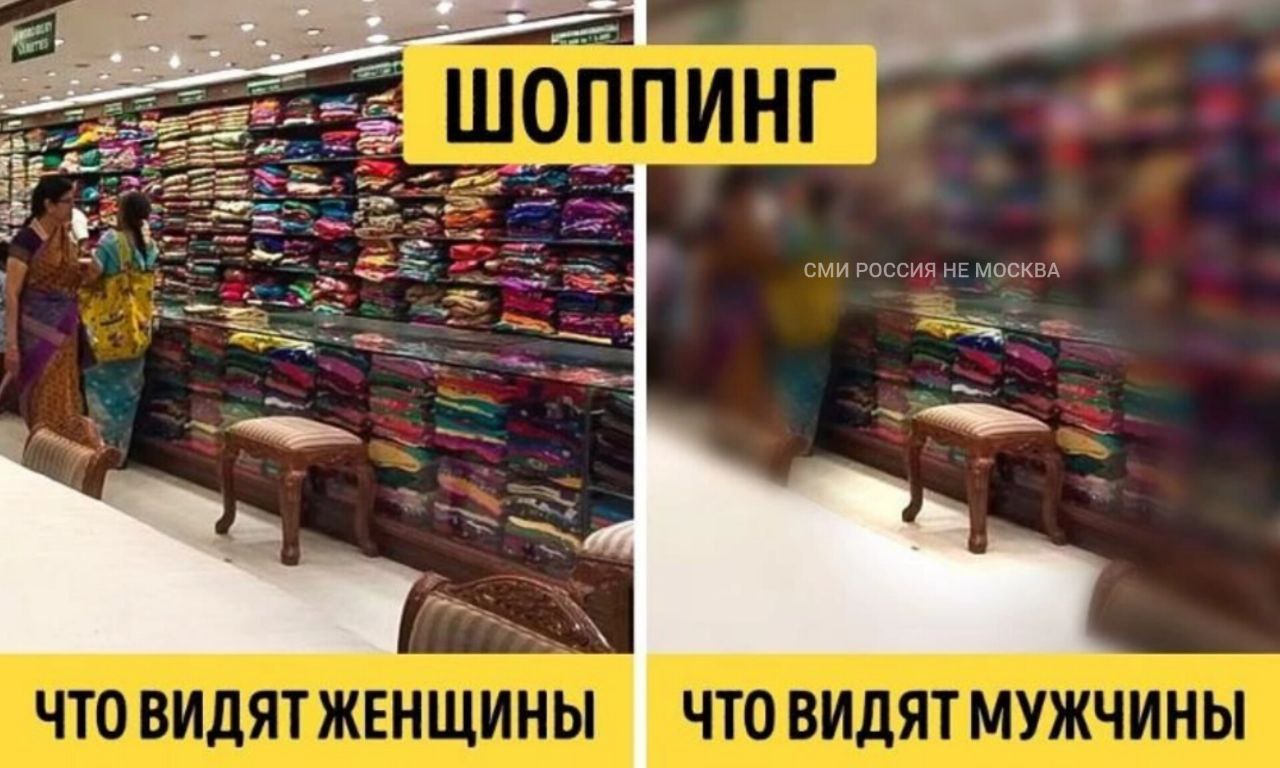 Как видят коты. Где они меня все видели. Смешные картинки с надписями до слез. Где они меня все видели. Где они меня все видели.